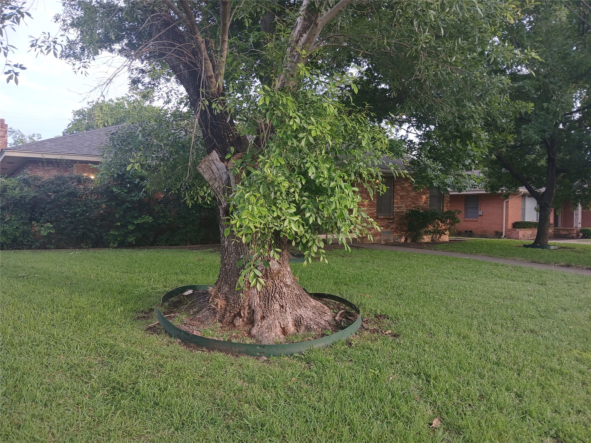 4918 Rockport Drive Dallas TX 75232