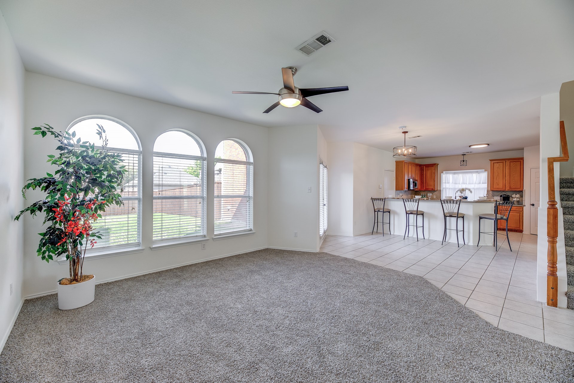 12347 Red Hawk Drive Frisco TX 75033