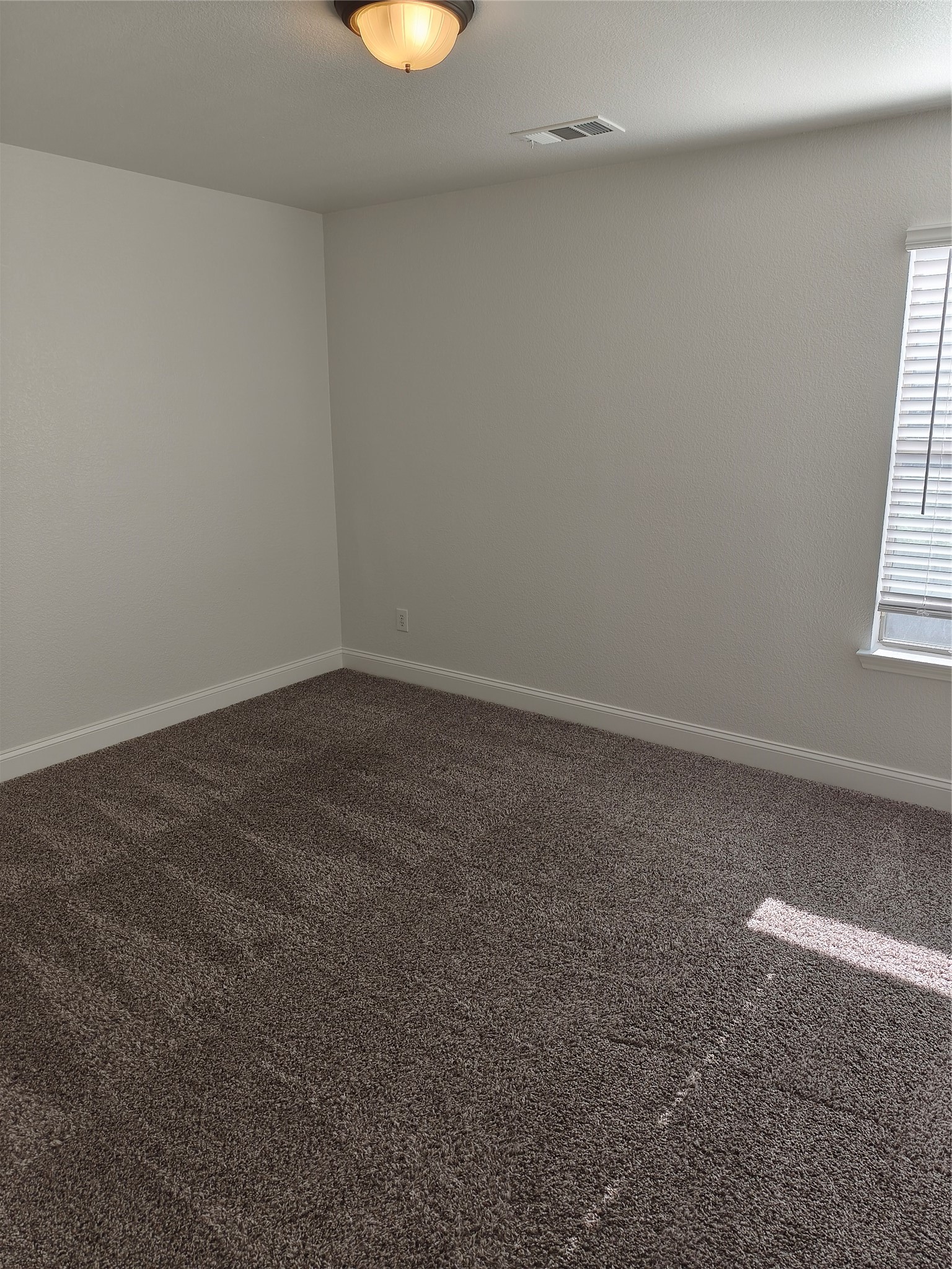 406 Stanley Falls Drive Anna TX 75409