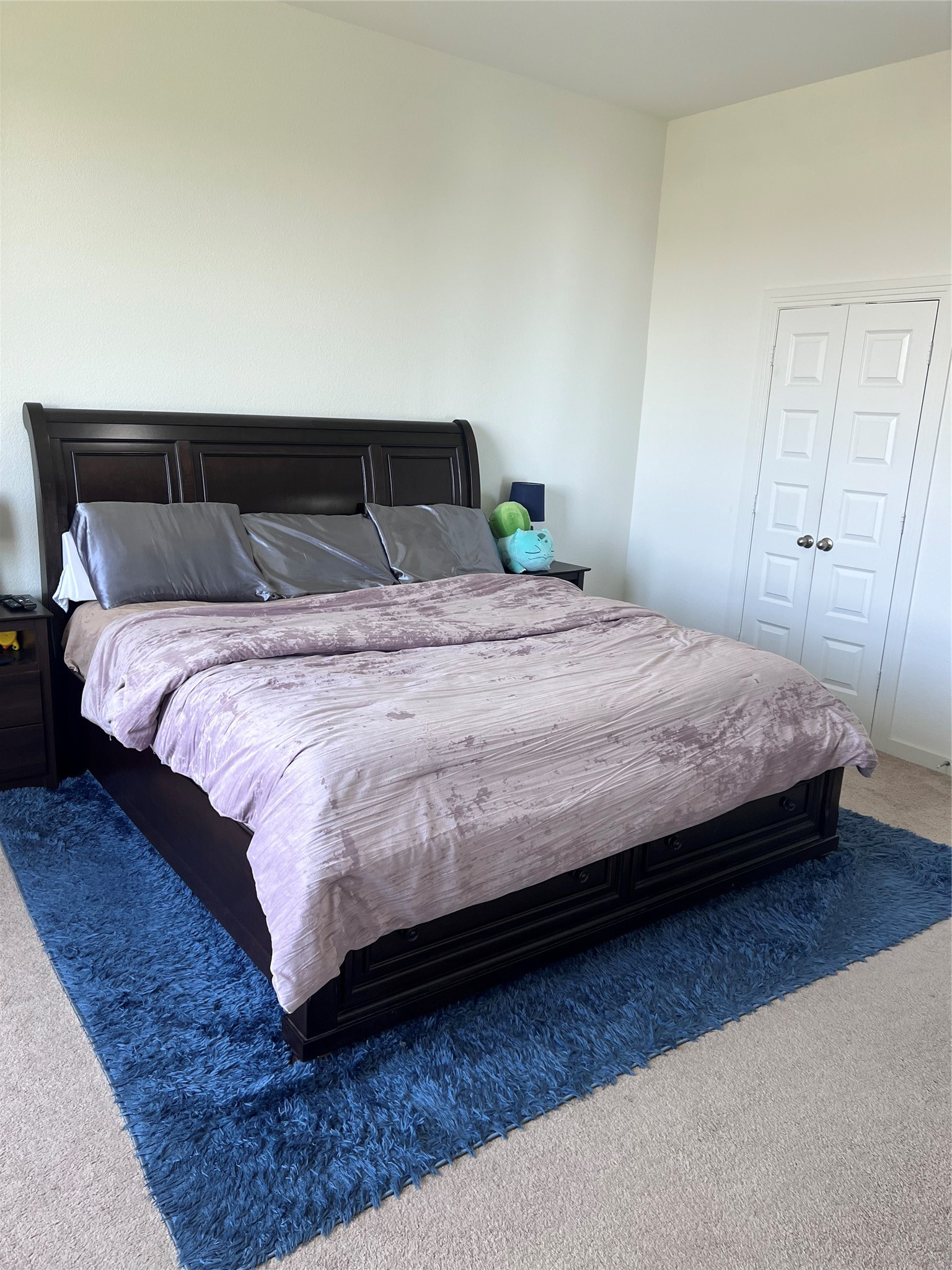 2452 Brightling Bend Forney TX 75126