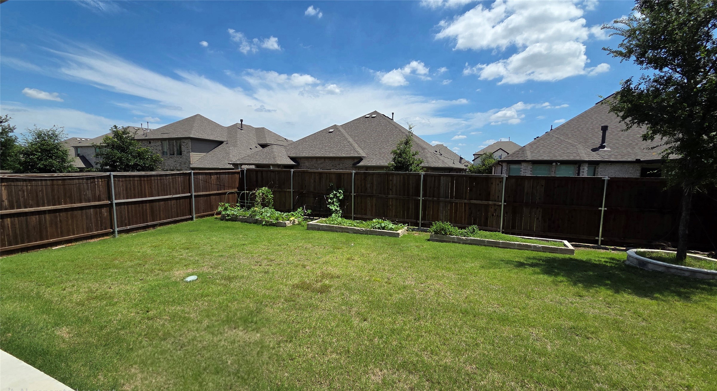 1629 White Snowberry Lane Celina TX 75078