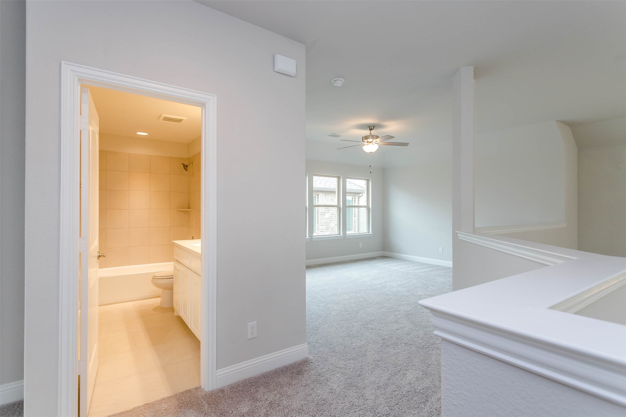1537 Euclid Alley Corinth TX 76208