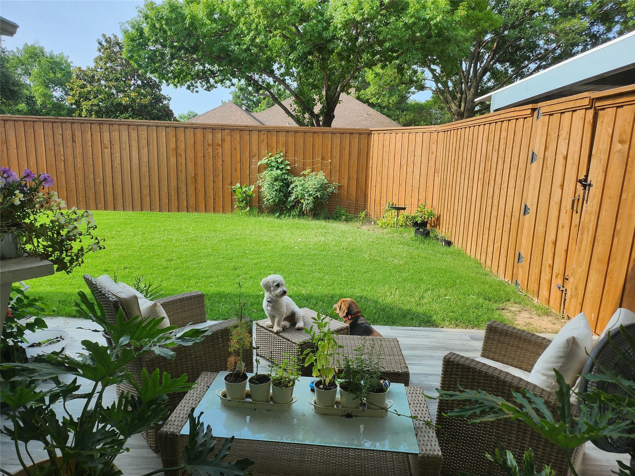 1800 Sacramento Terrace Plano TX 75075