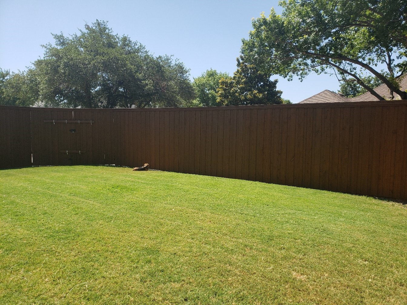 1800 Sacramento Terrace Plano TX 75075