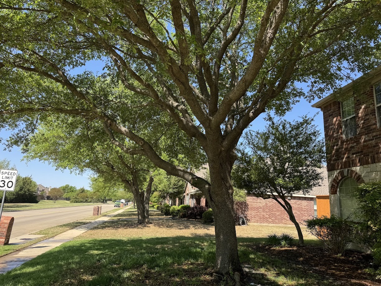 1621 Country Brook Lane Allen TX 75002