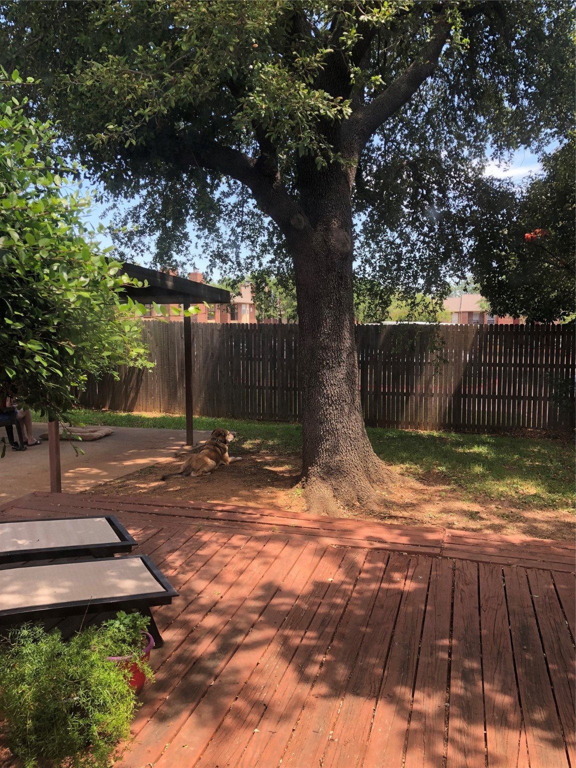 808 Rock Creek Drive Euless TX 76039