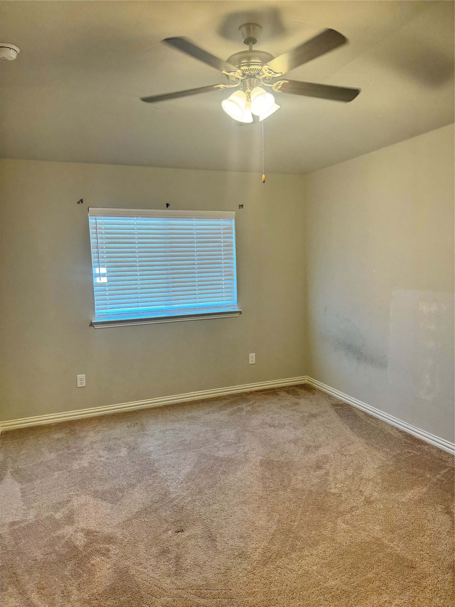 4475 Samarth Street Irving TX 75061