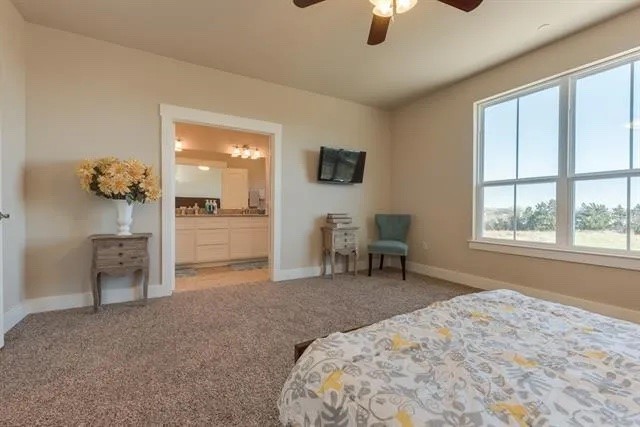 303 Lily Lane Lewisville TX 75057