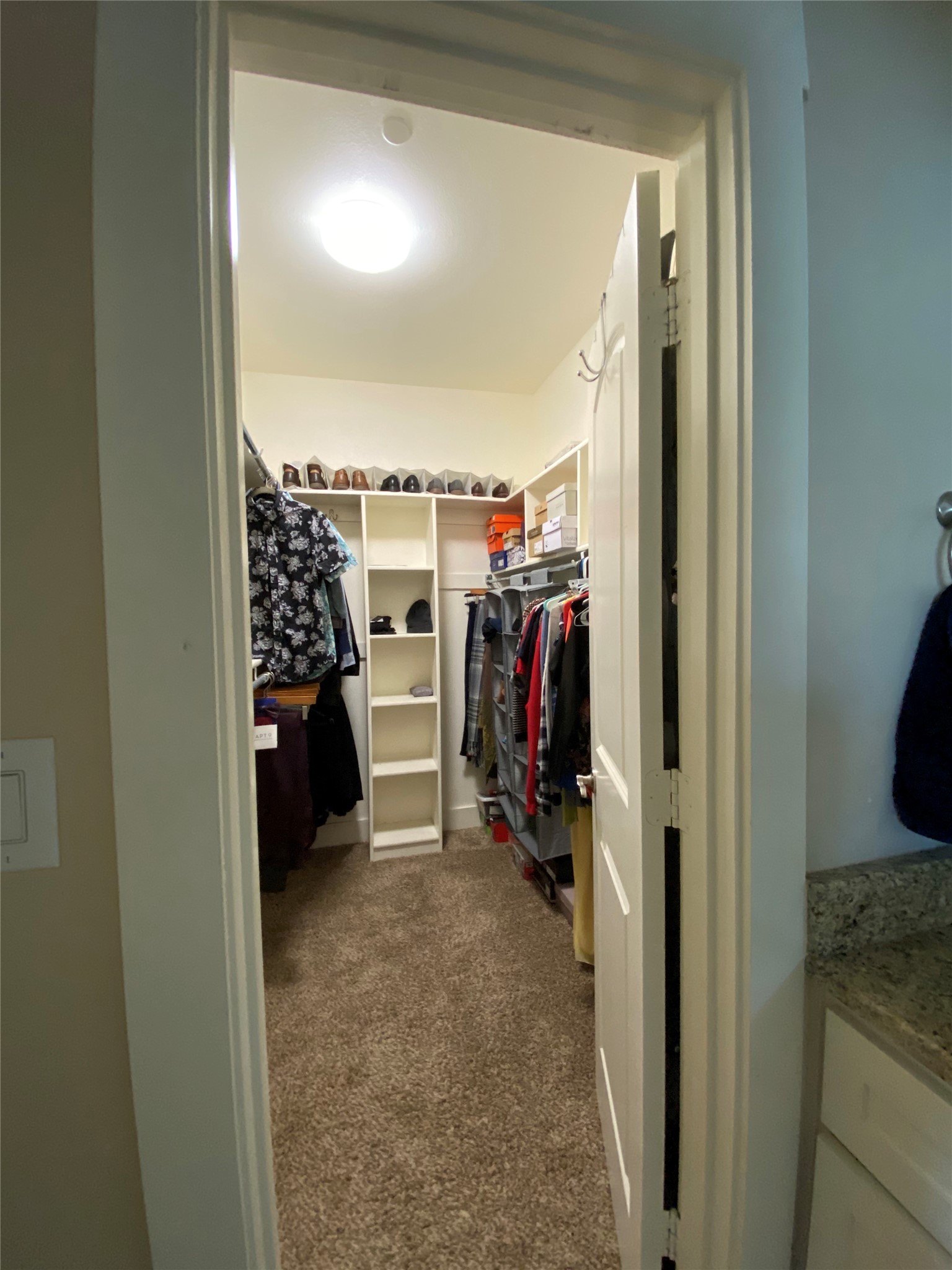303 Lily Lane Lewisville TX 75057