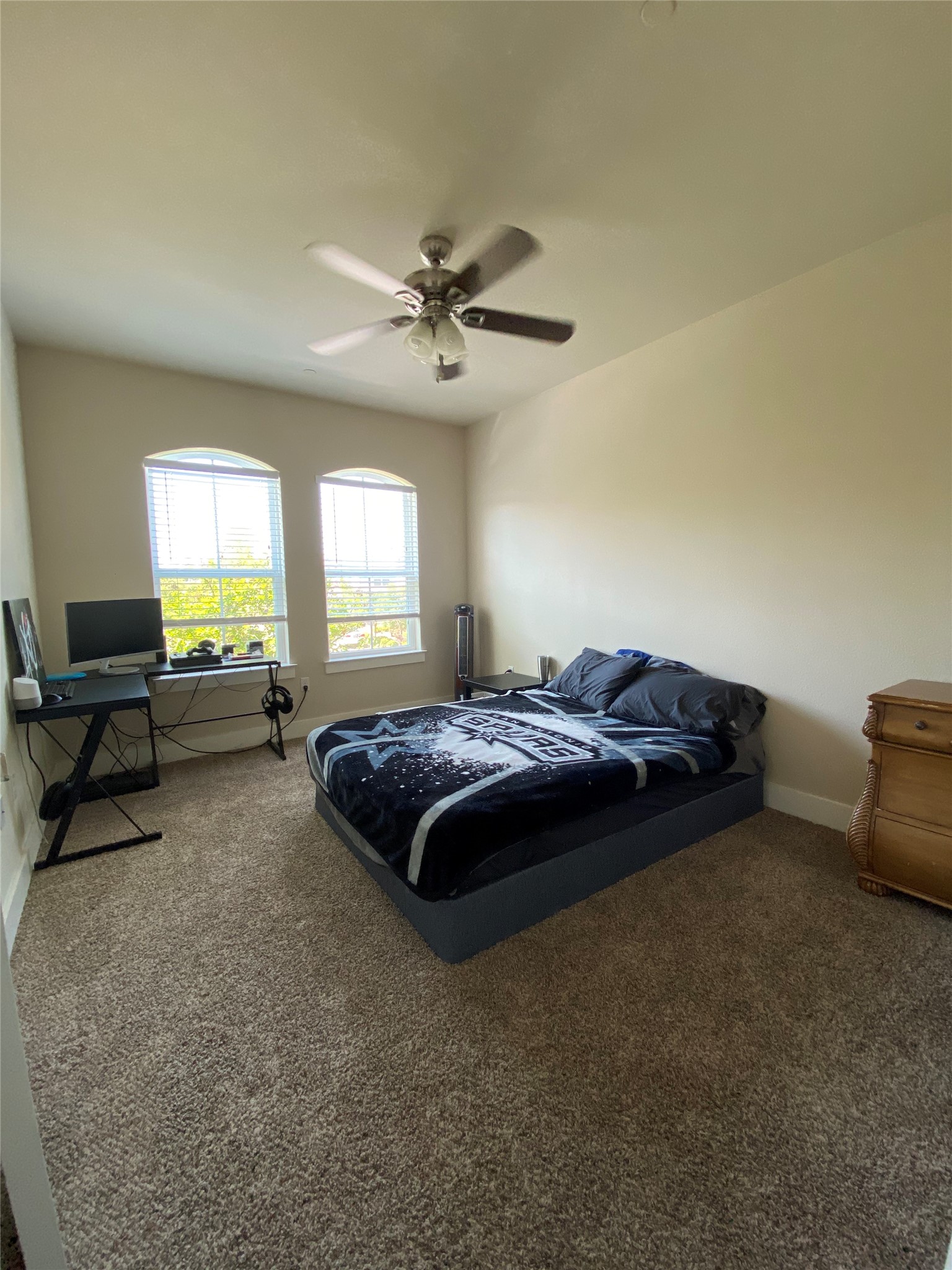 303 Lily Lane Lewisville TX 75057
