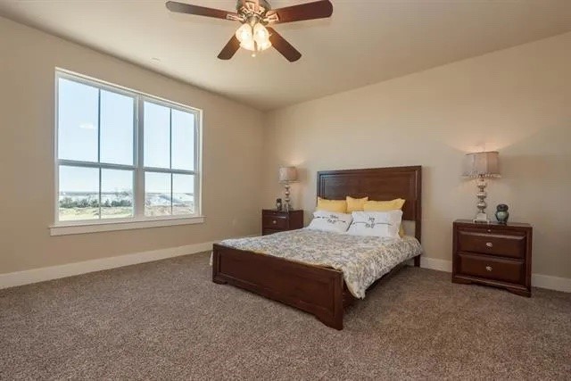 303 Lily Lane Lewisville TX 75057