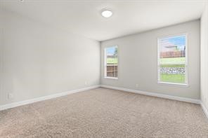 2808 Inn Kitchen Way Mckinney TX 75071