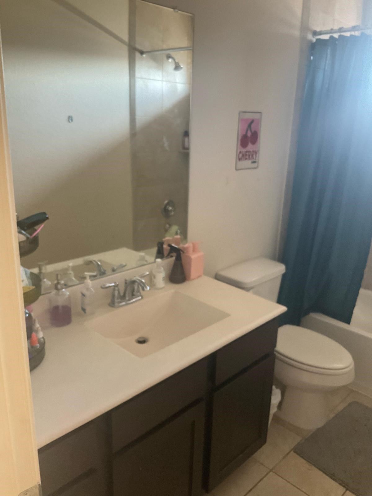 1100 Mapleview Drive Arlington TX 76018