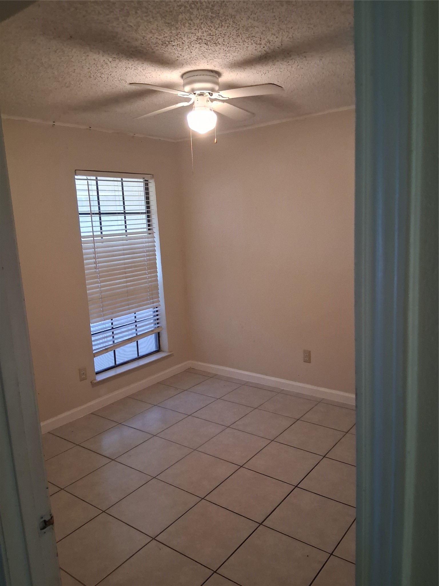 1100 Mapleview Drive Arlington TX 76018