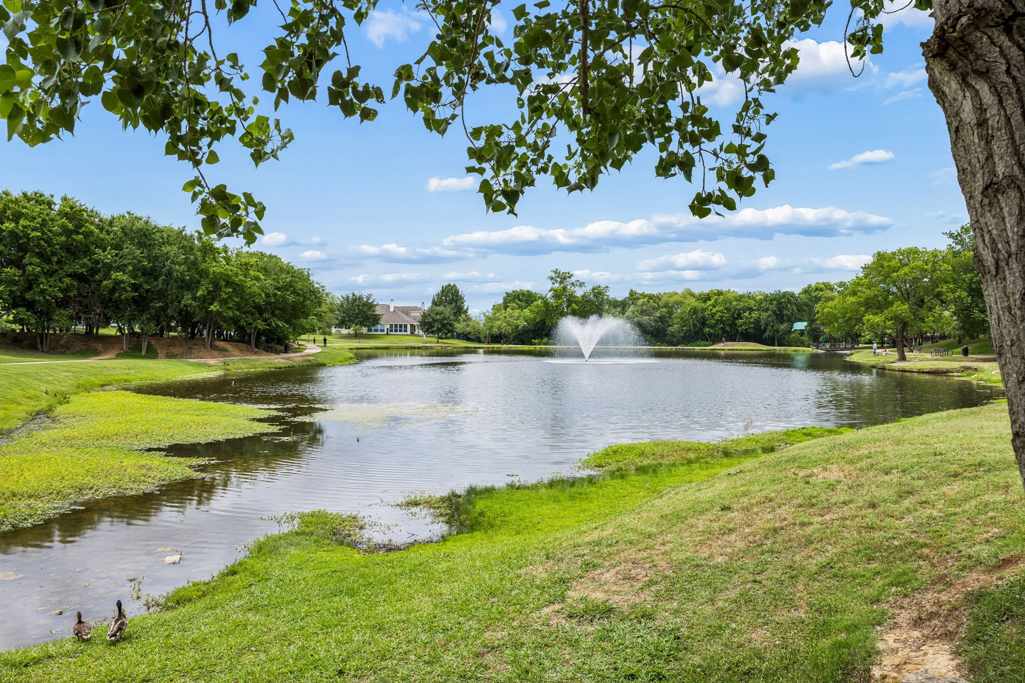 9260 Odeum Drive Fort Worth TX 76244