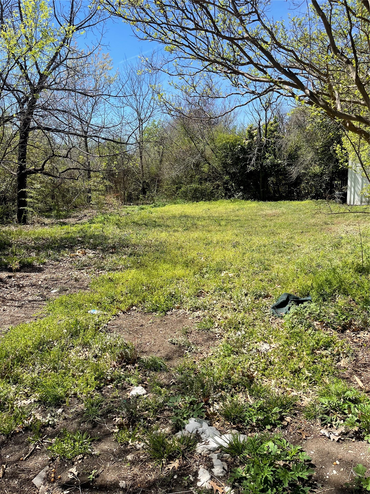 402 S Pearl Street Trenton TX 75490