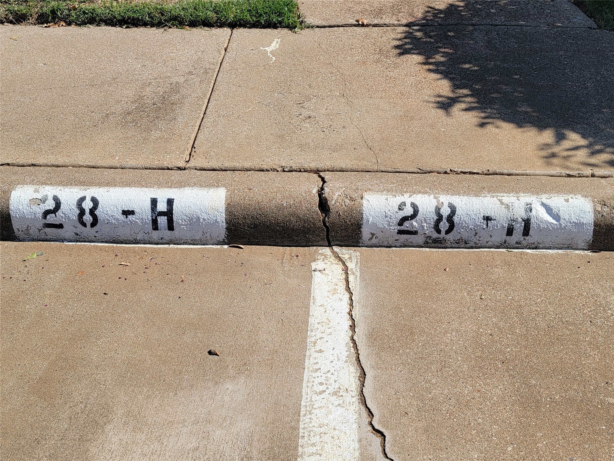 1104 Horizon Trail Arlington TX 76011