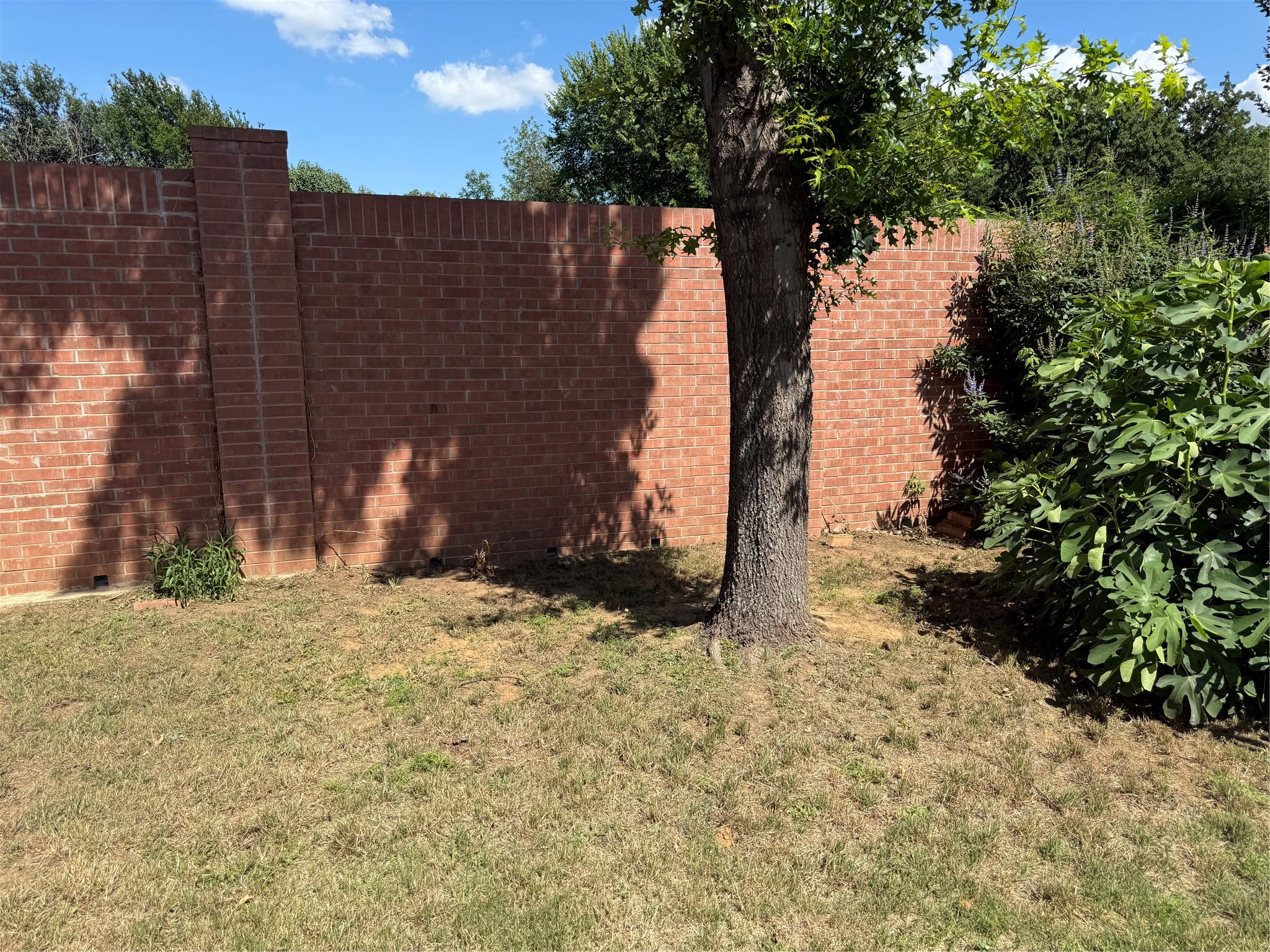 4709 Redbud Drive Denton TX 76208