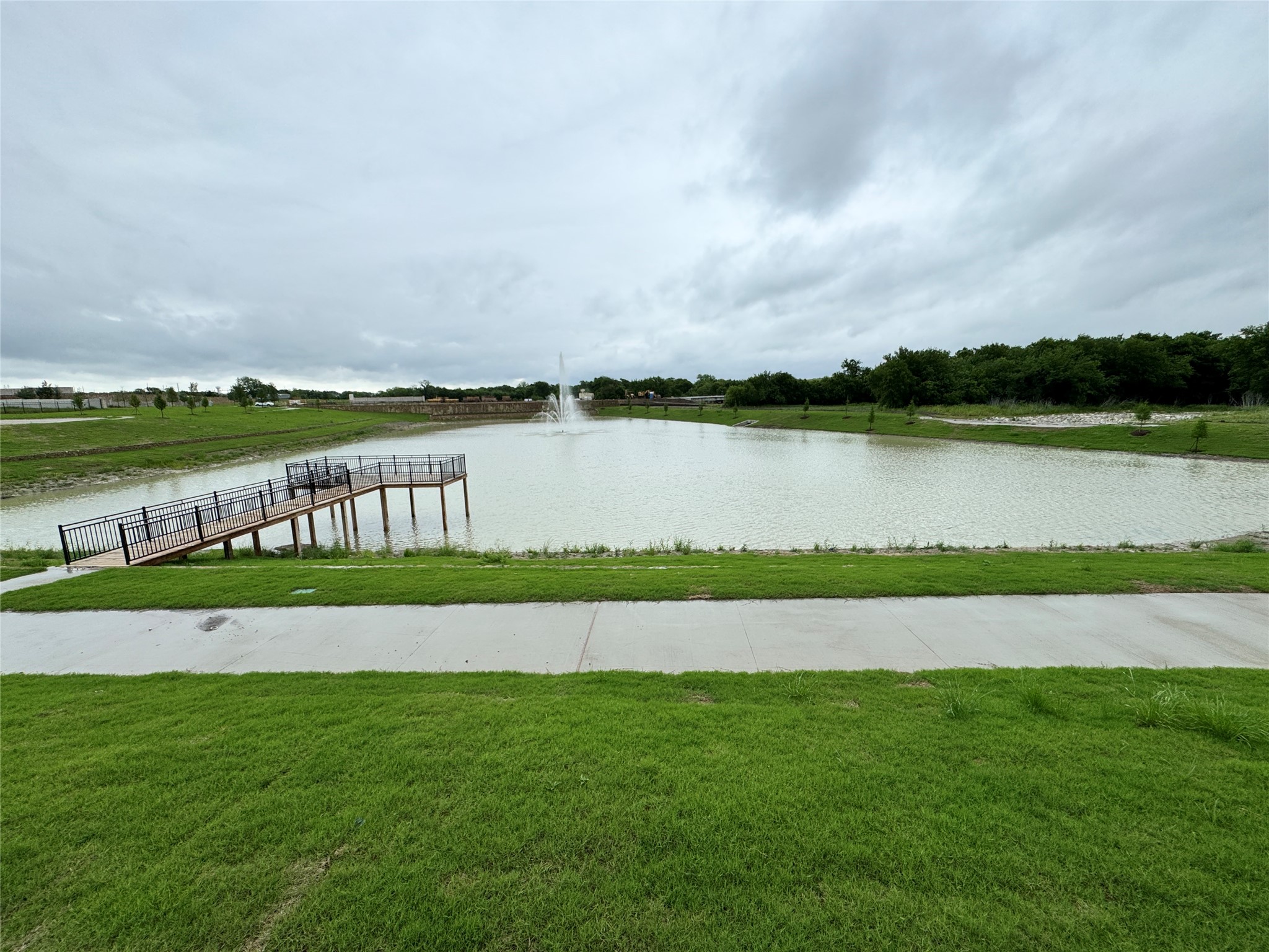 1156 Del Rio Drive Lavon TX 75166