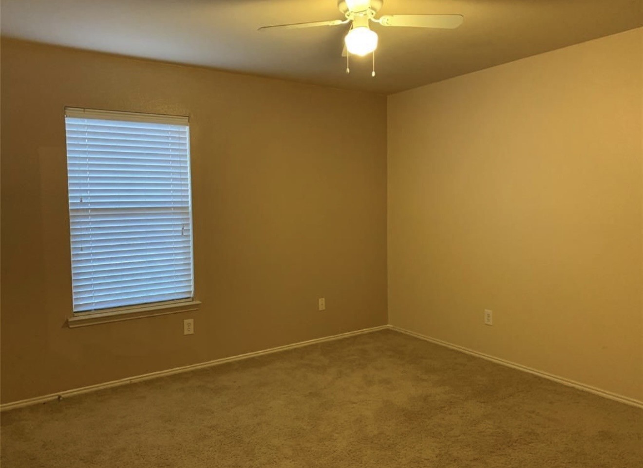 510 Indian Paintbrush Fate TX 75087