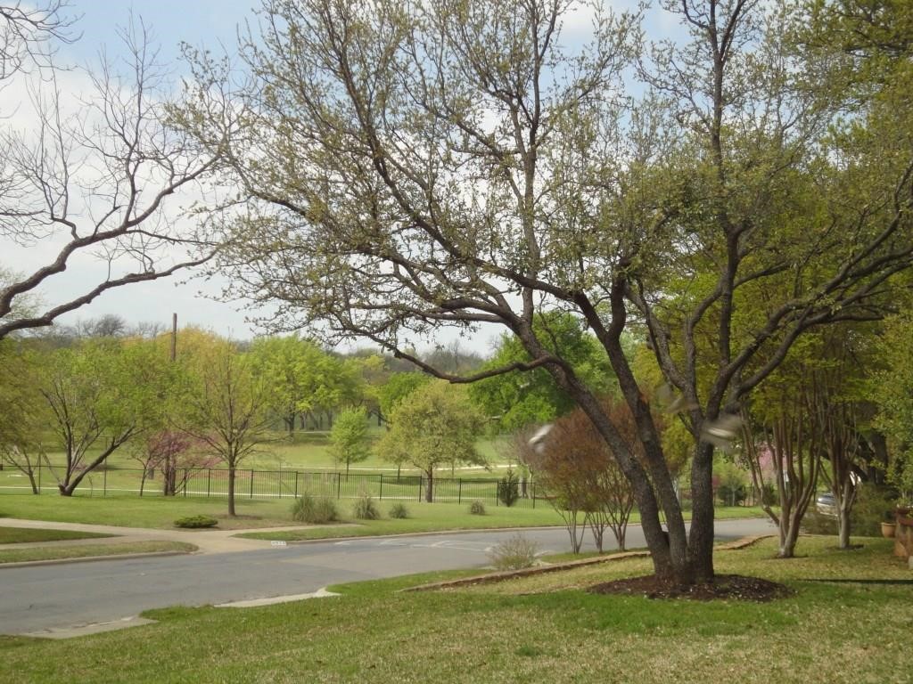 6831 La Vista Drive Dallas TX 75214