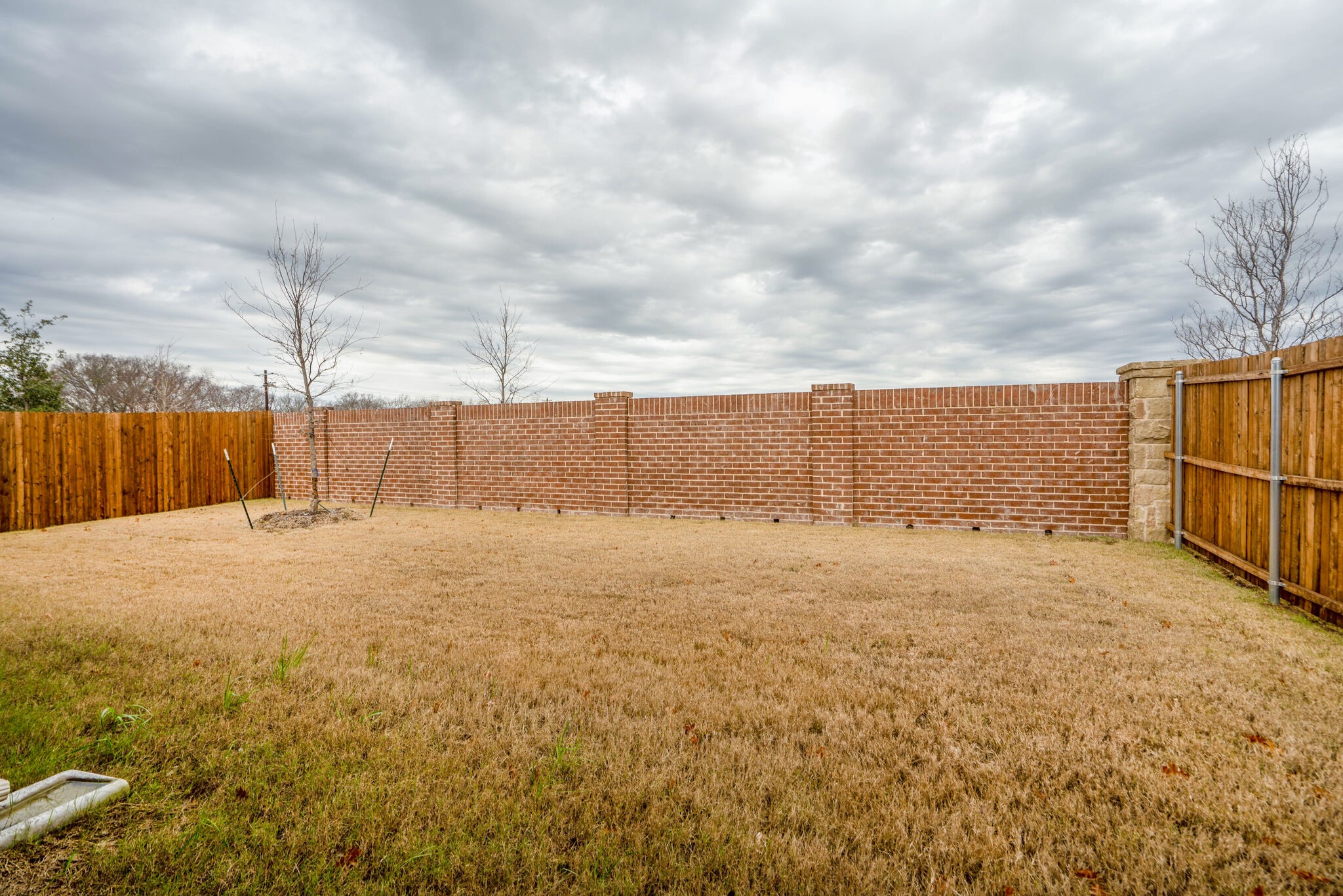 3716 Peachbush Lane Mckinney TX 75071