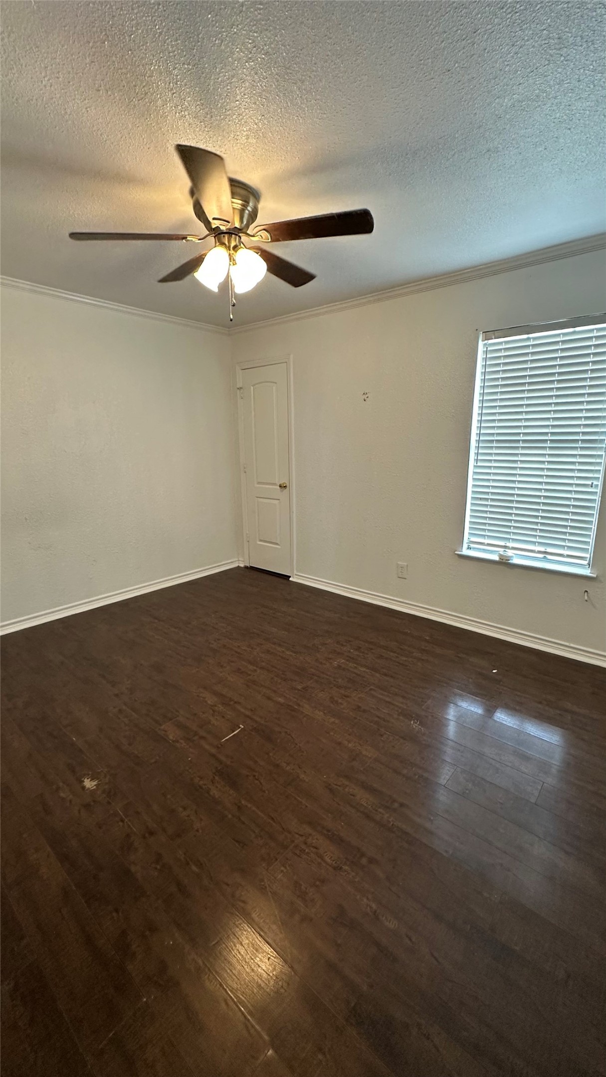 3411 Pewitt Drive Waco TX 76706