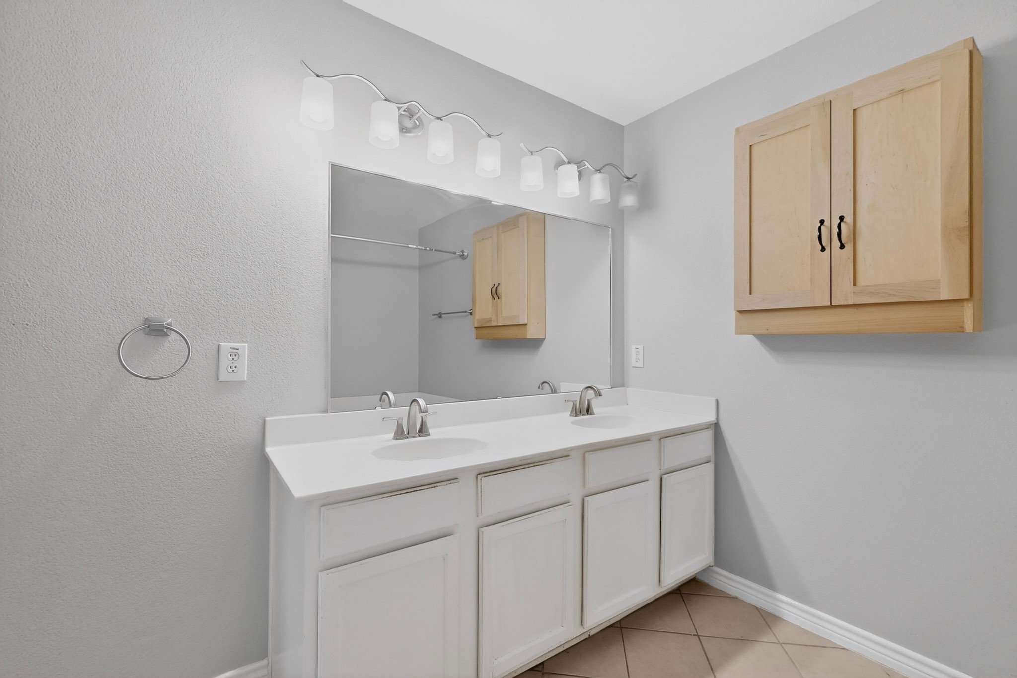 2216 Chestnut Drive Little Elm TX 75068