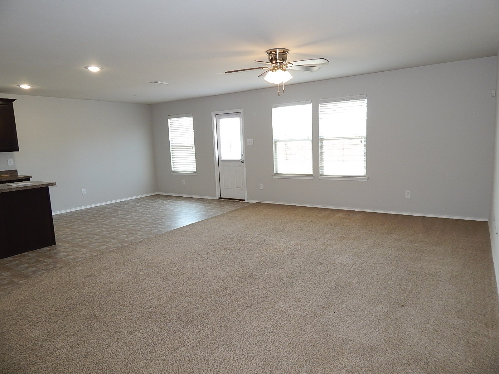 207 Citrus Drive Fate TX 75189