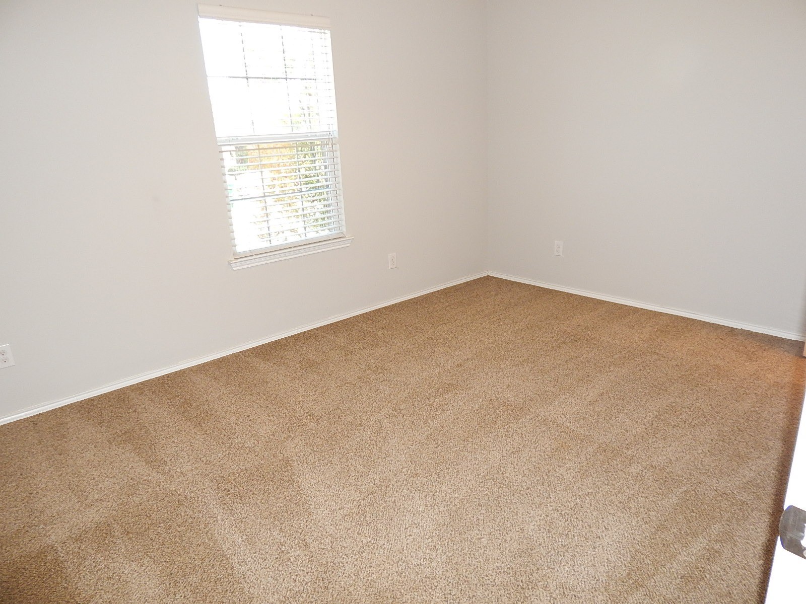 207 Citrus Drive Fate TX 75189