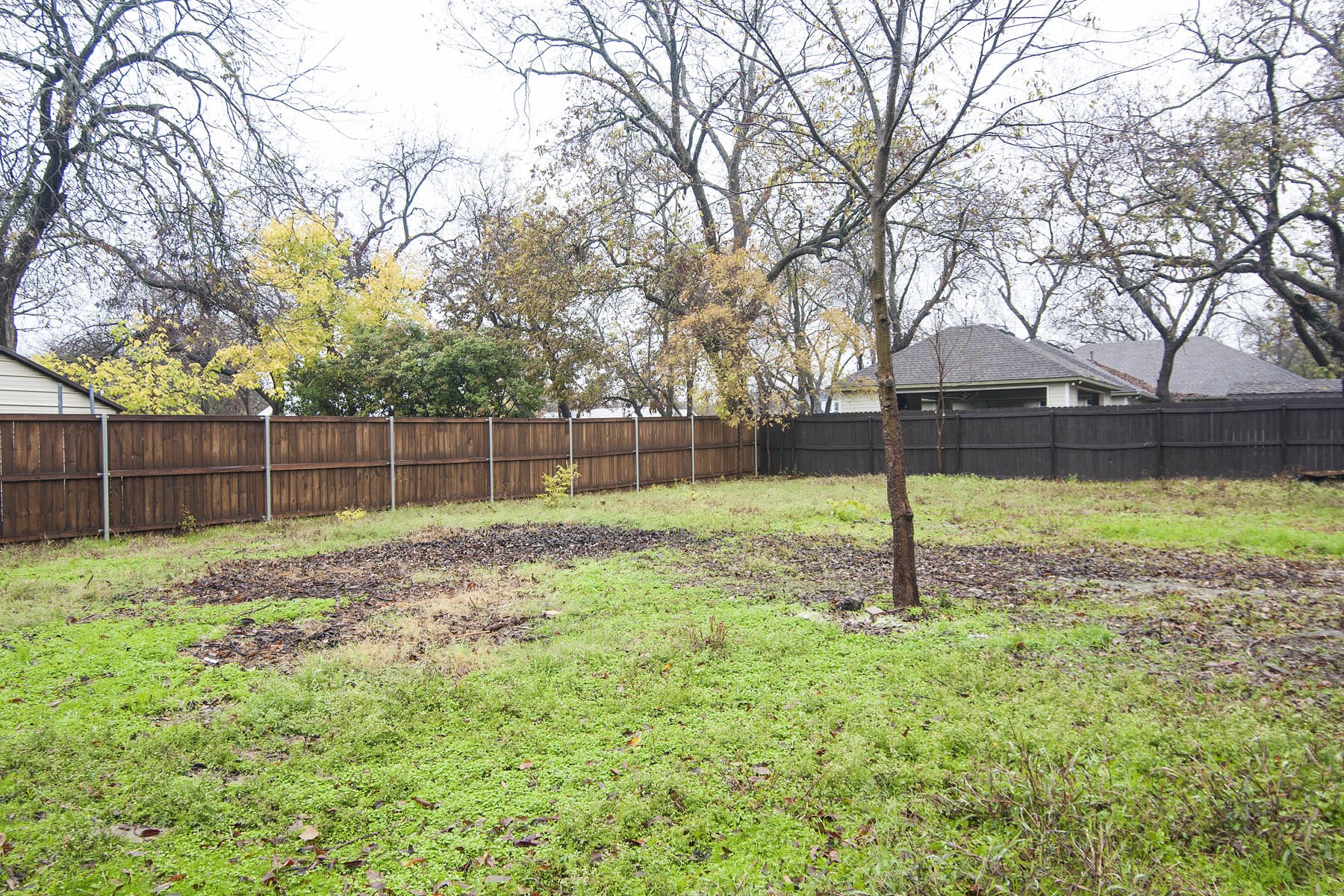 305 College Street Farmersville TX 75442