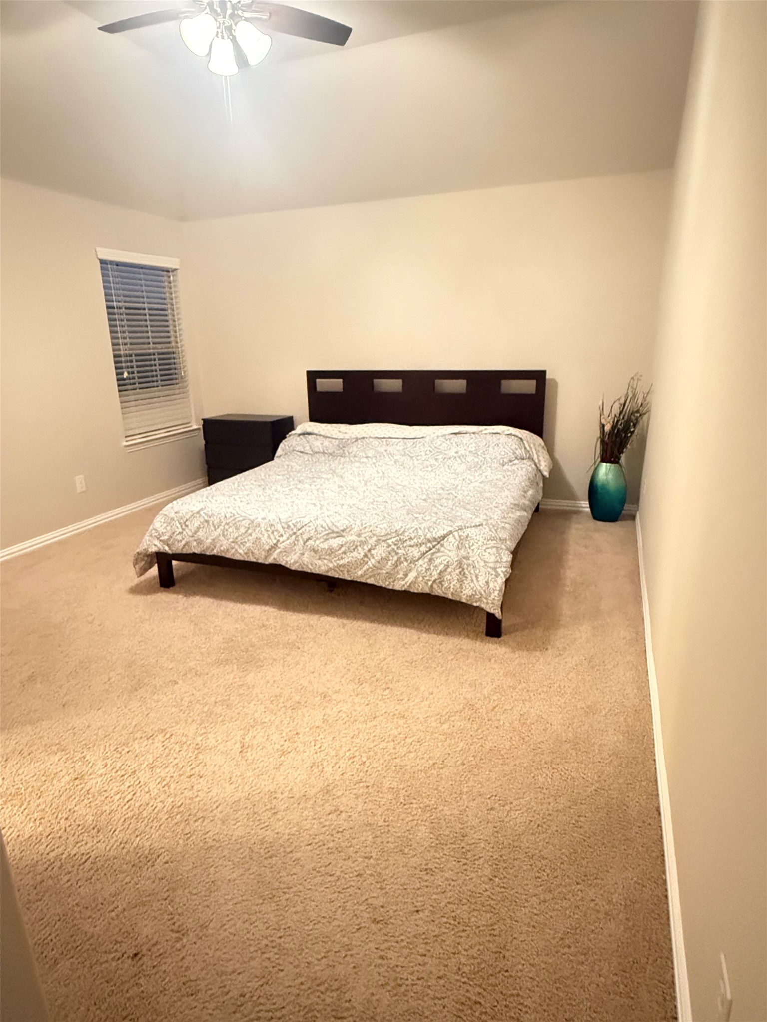 408 Palamedes Street Lewisville TX 75056