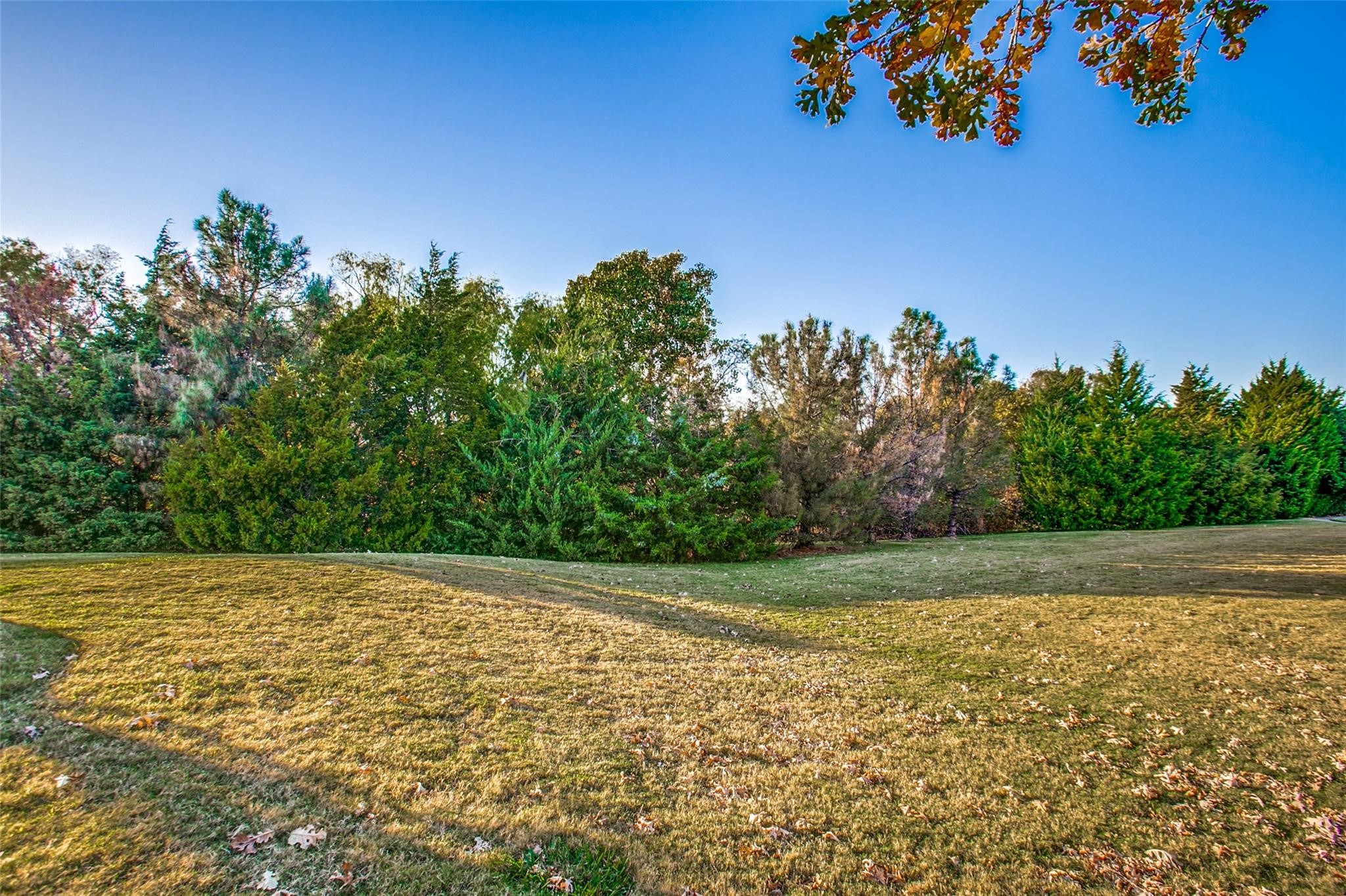3005 Bonsai Drive Plano TX 75093