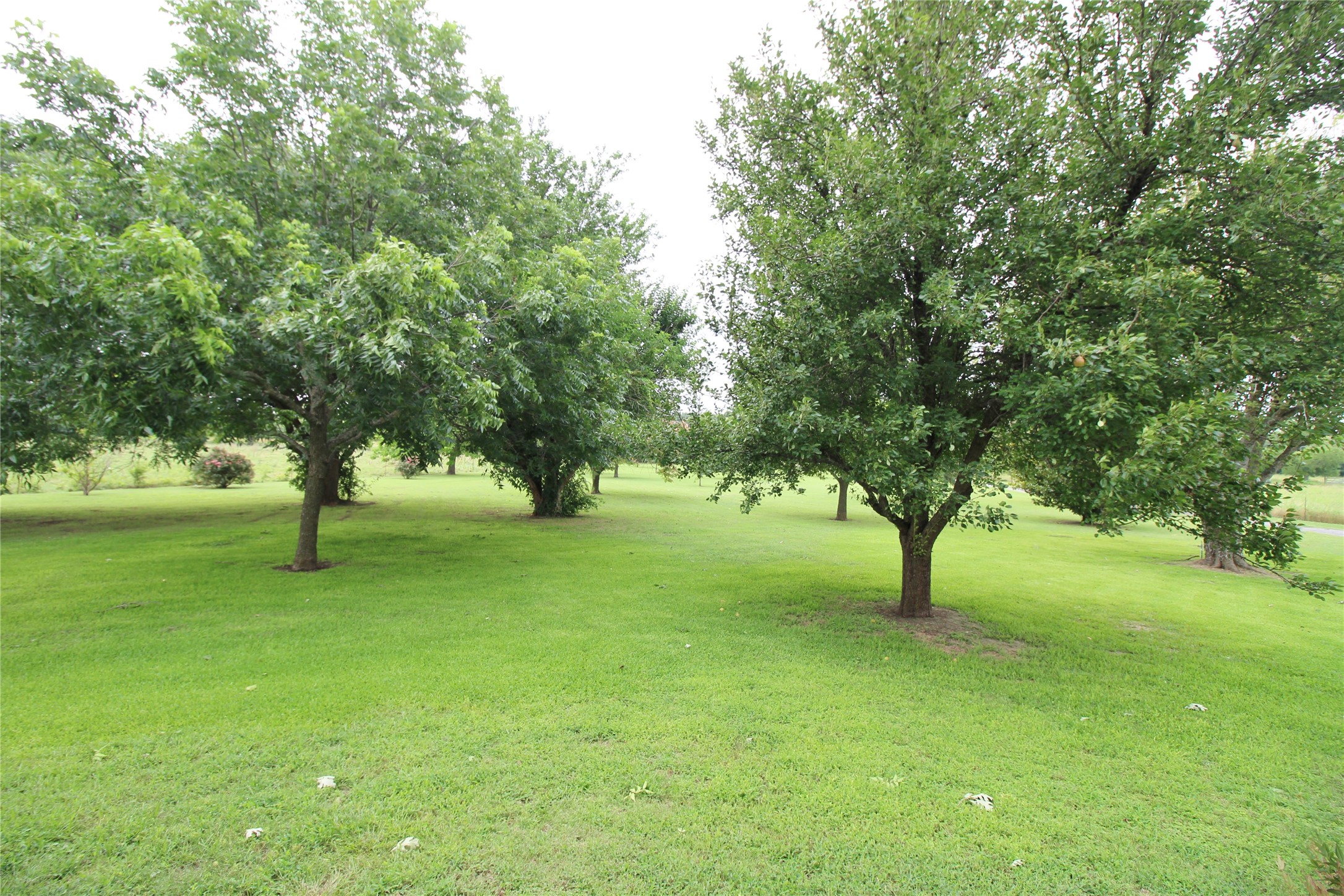 8150 Bob White Road Waxahachie TX 75167