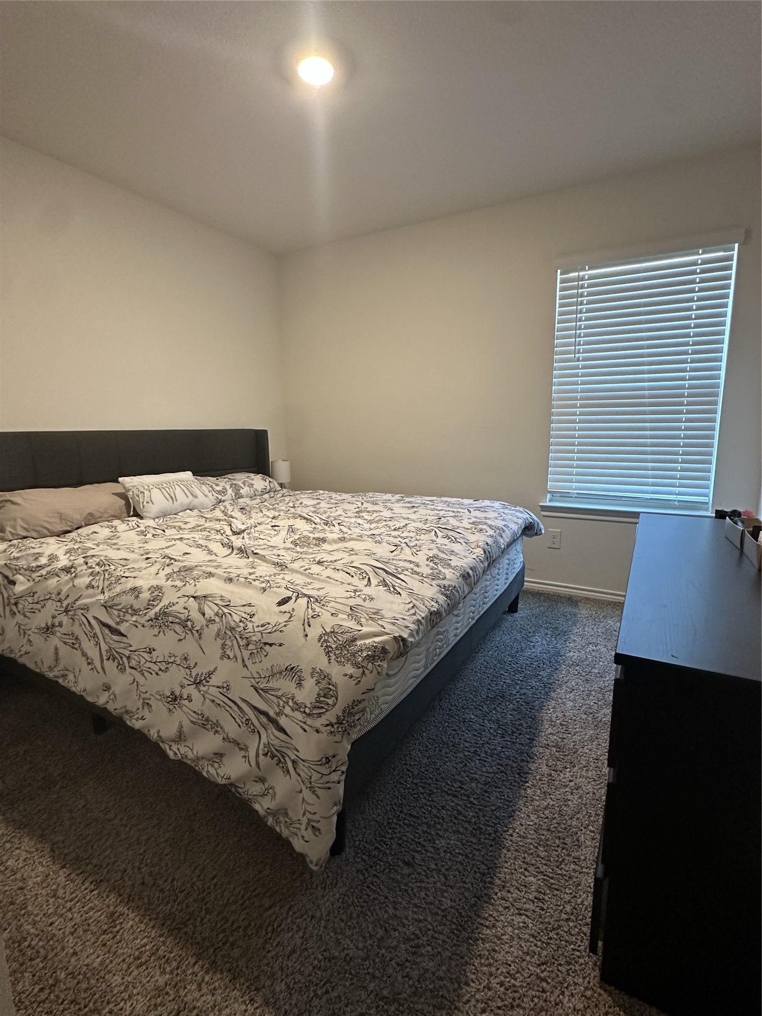125 Smarty Jones Street Caddo Mills TX 75135