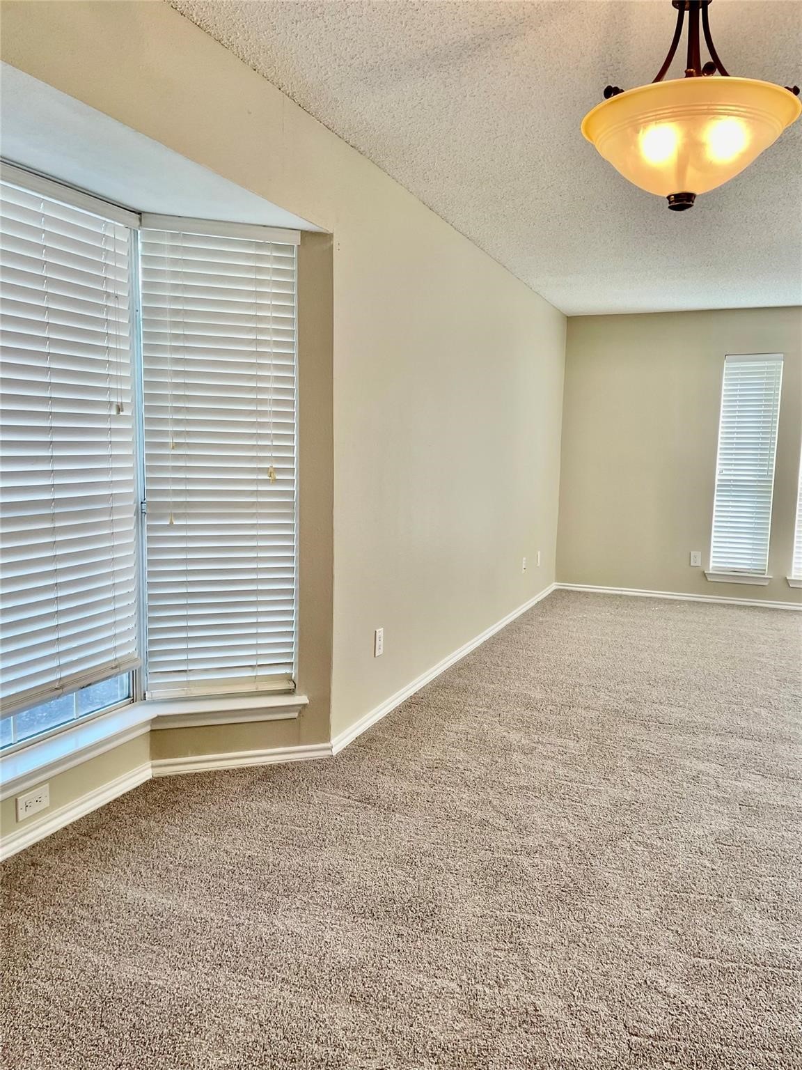 5401 Turtle River Court Fort Worth TX 76137