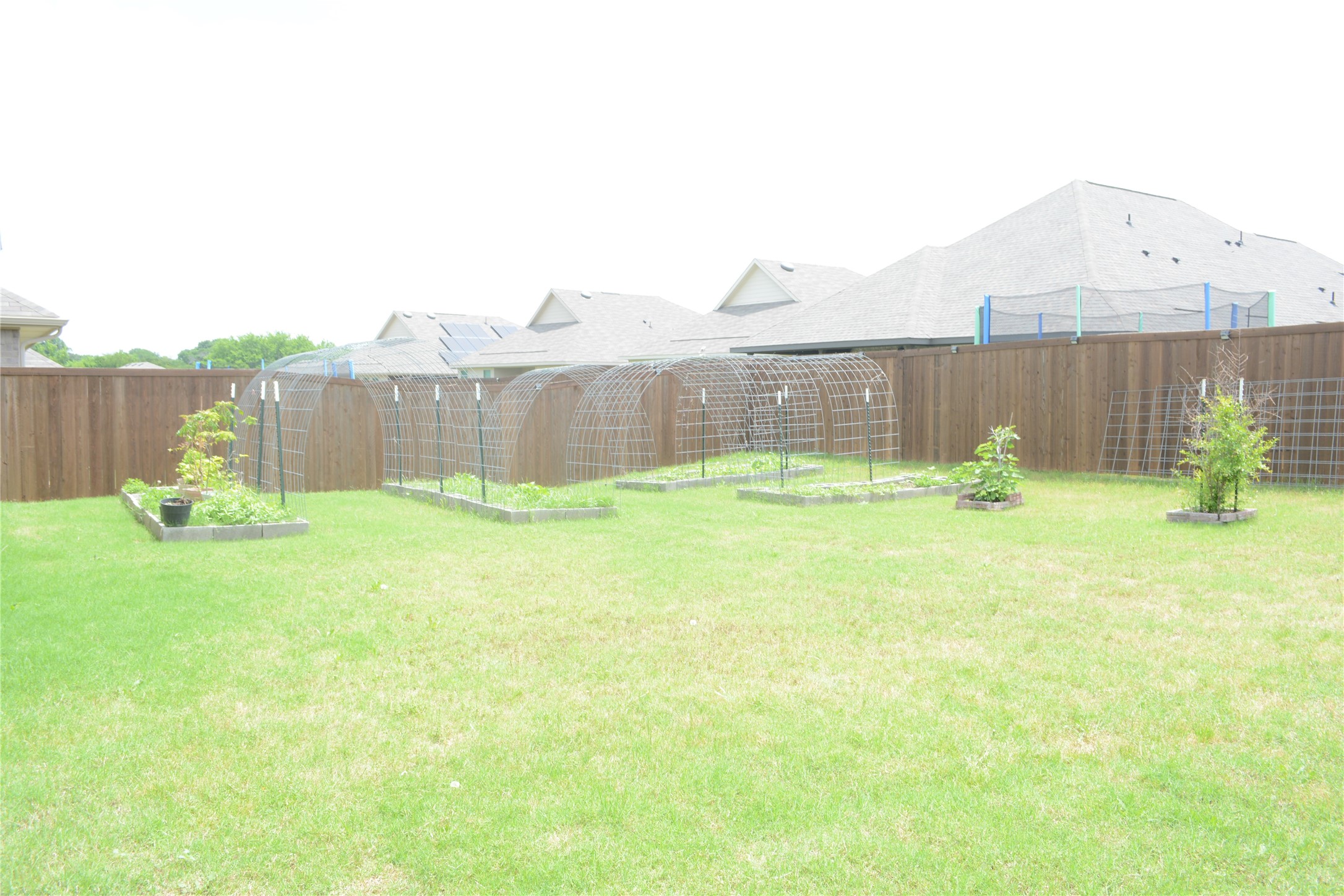11612 Silver Queen Drive Aubrey TX 76227