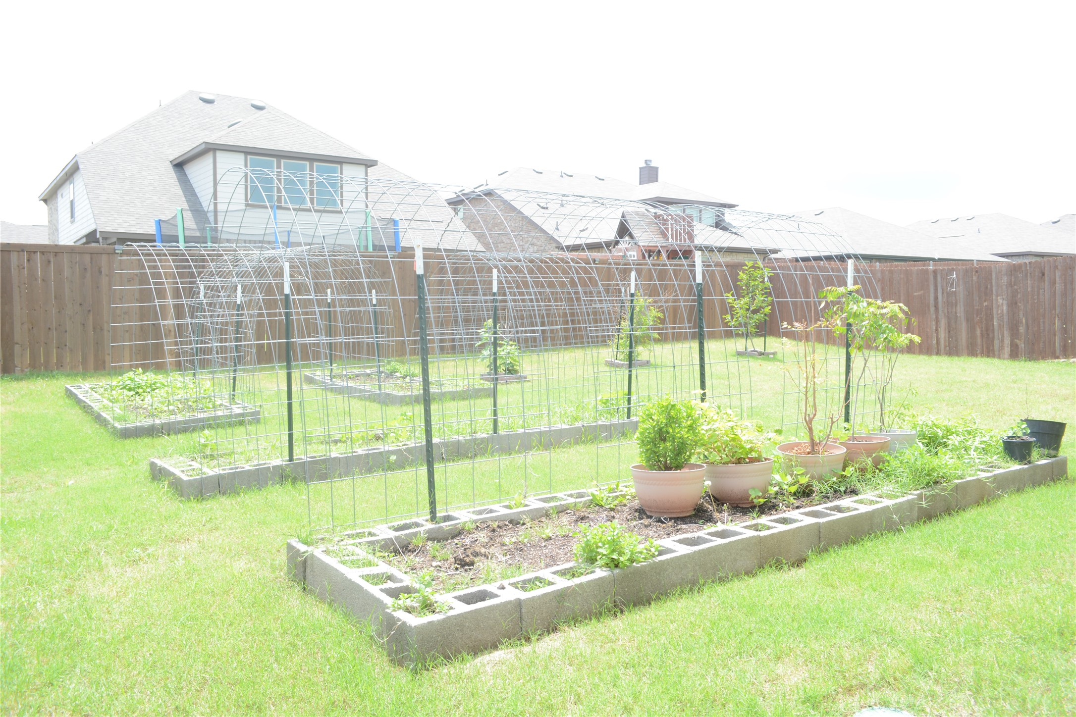 11612 Silver Queen Drive Aubrey TX 76227