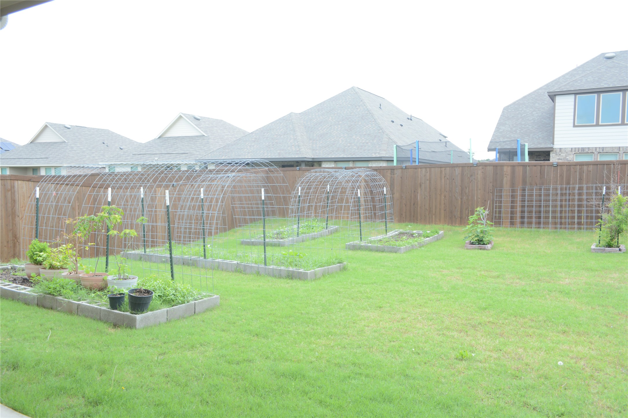 11612 Silver Queen Drive Aubrey TX 76227