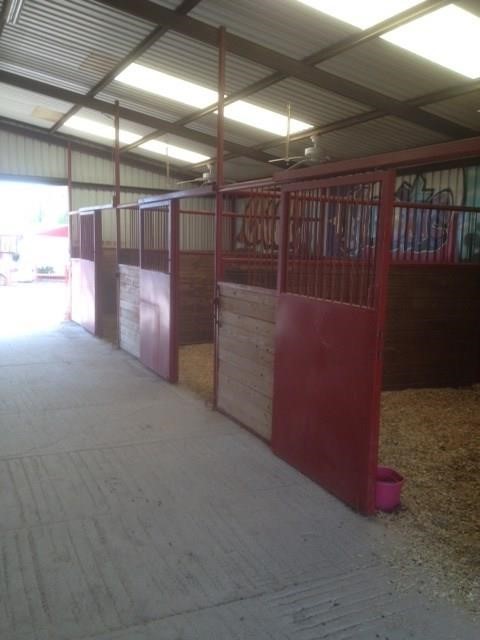 5345 Fm 1461 Mckinney TX 75071
