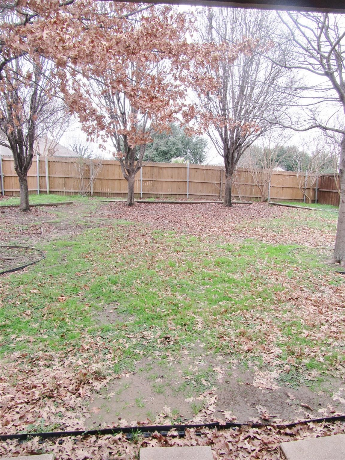 646 W Park Drive Keller TX 76248