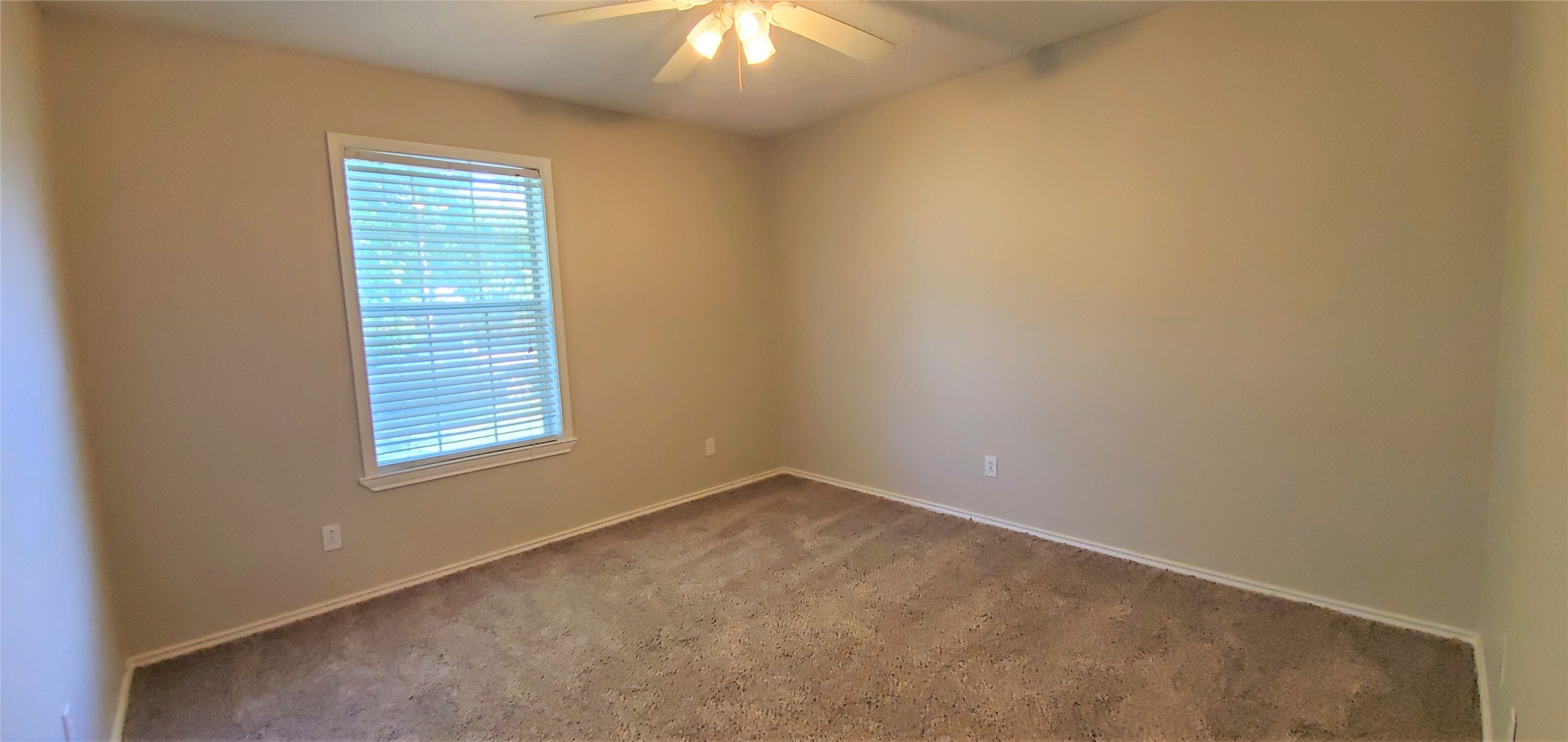 3117 N Bell Avenue Denton TX 76207