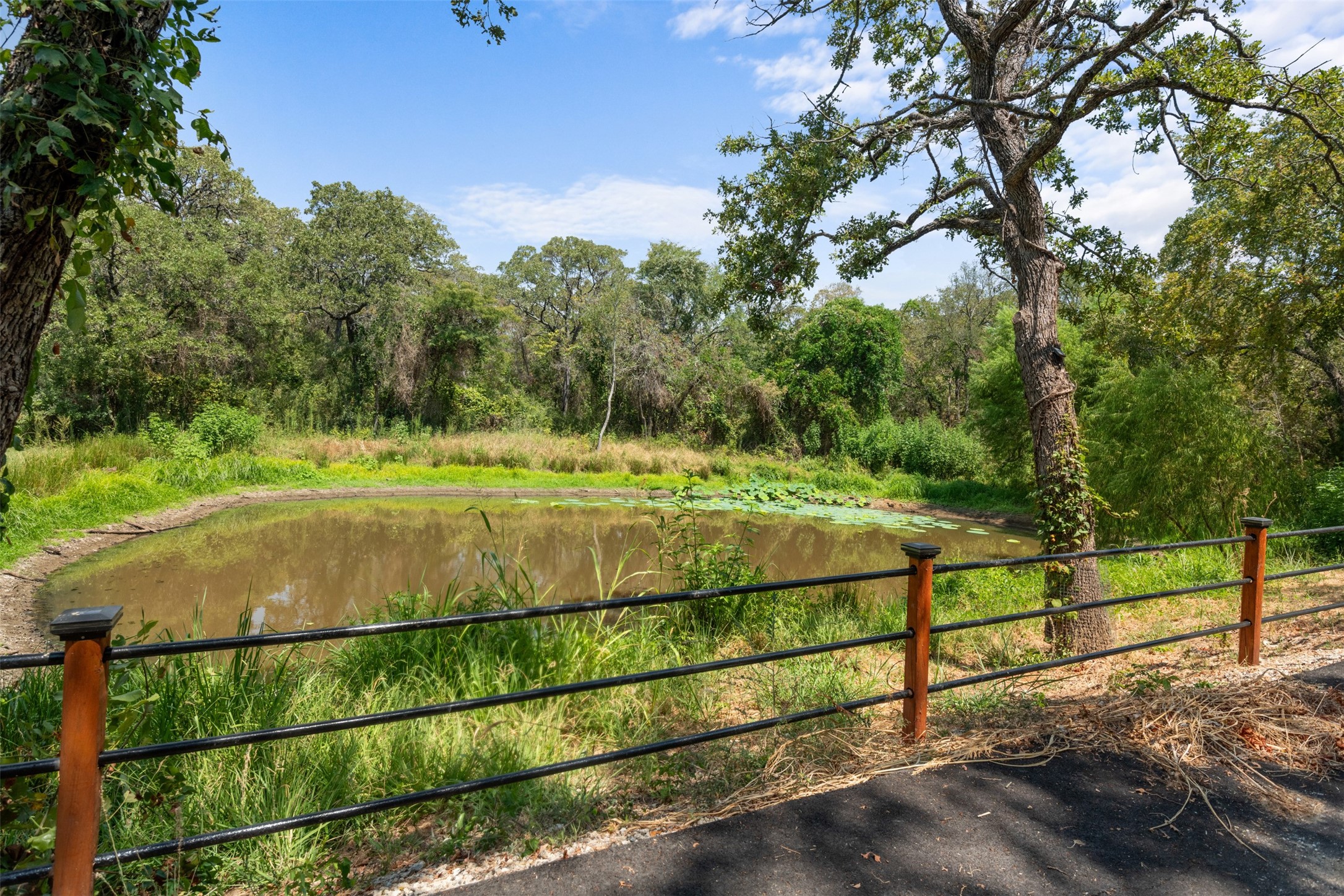 125 Cedar Lane Cross Roads TX 76227