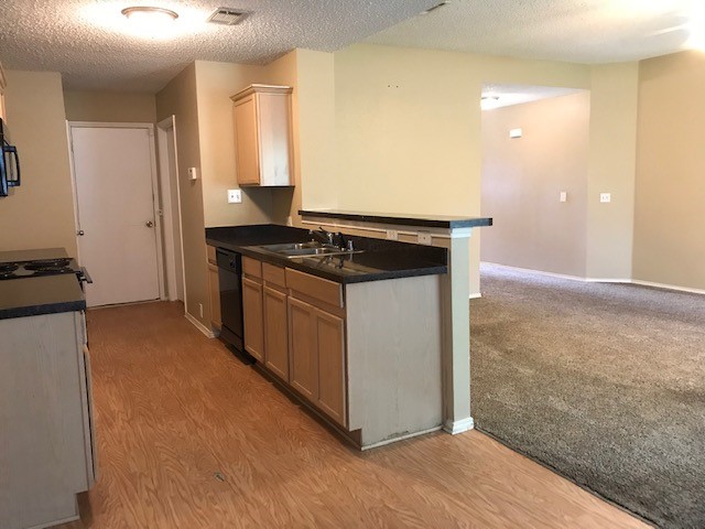 220 Pinecrest Seagoville TX 75159
