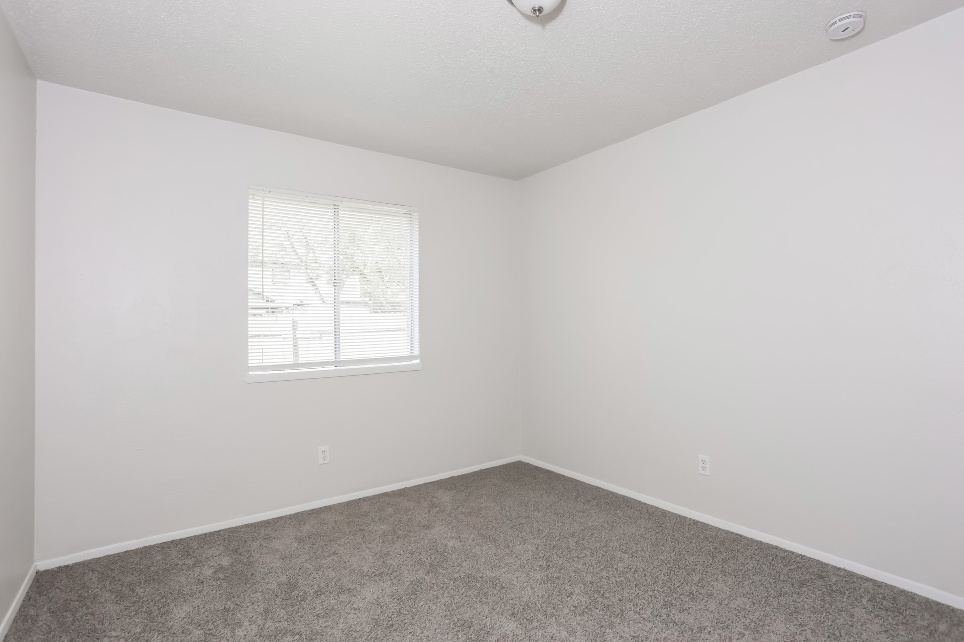 5037 Collingwood Drive Garland TX 75043