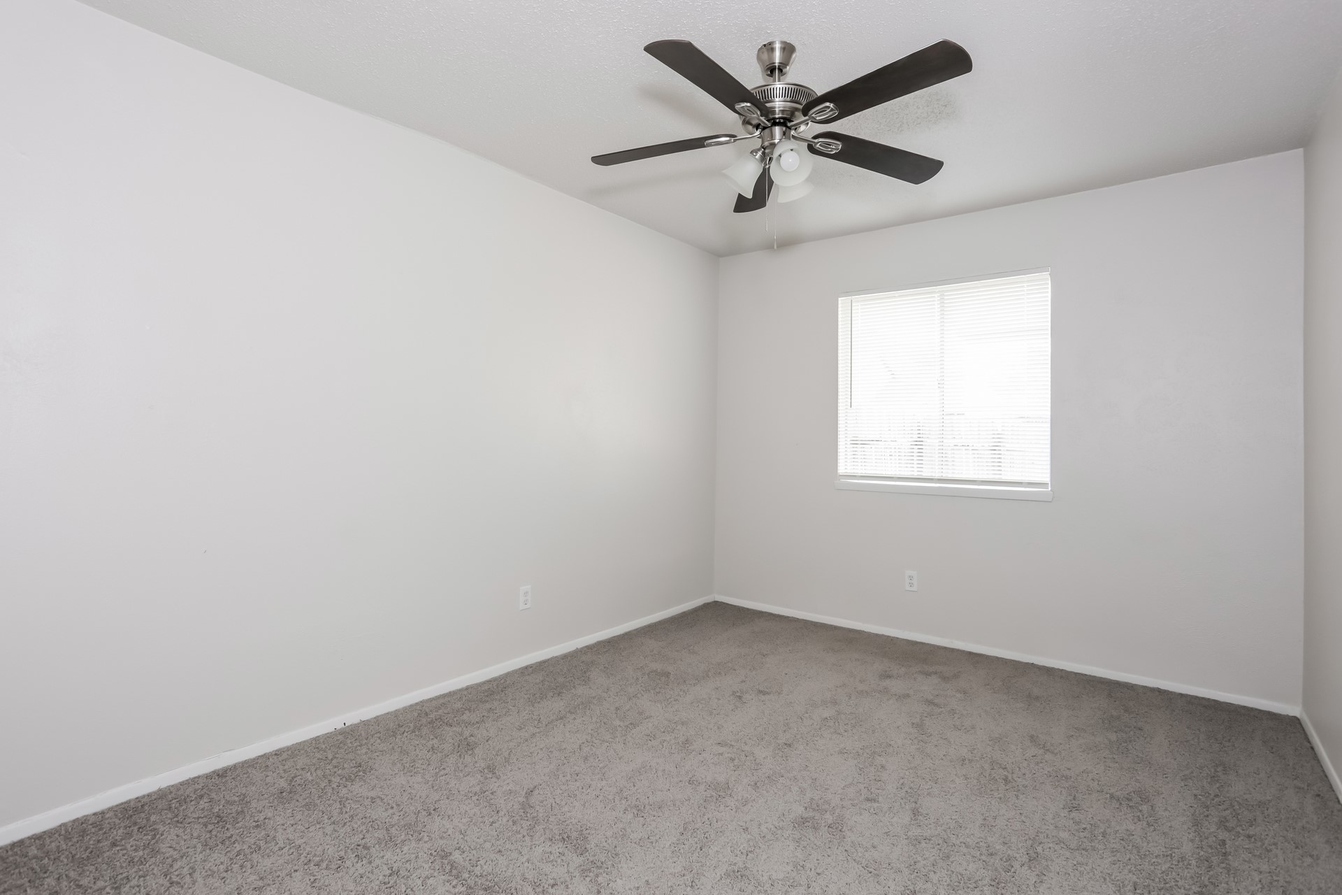 5037 Collingwood Drive Garland TX 75043