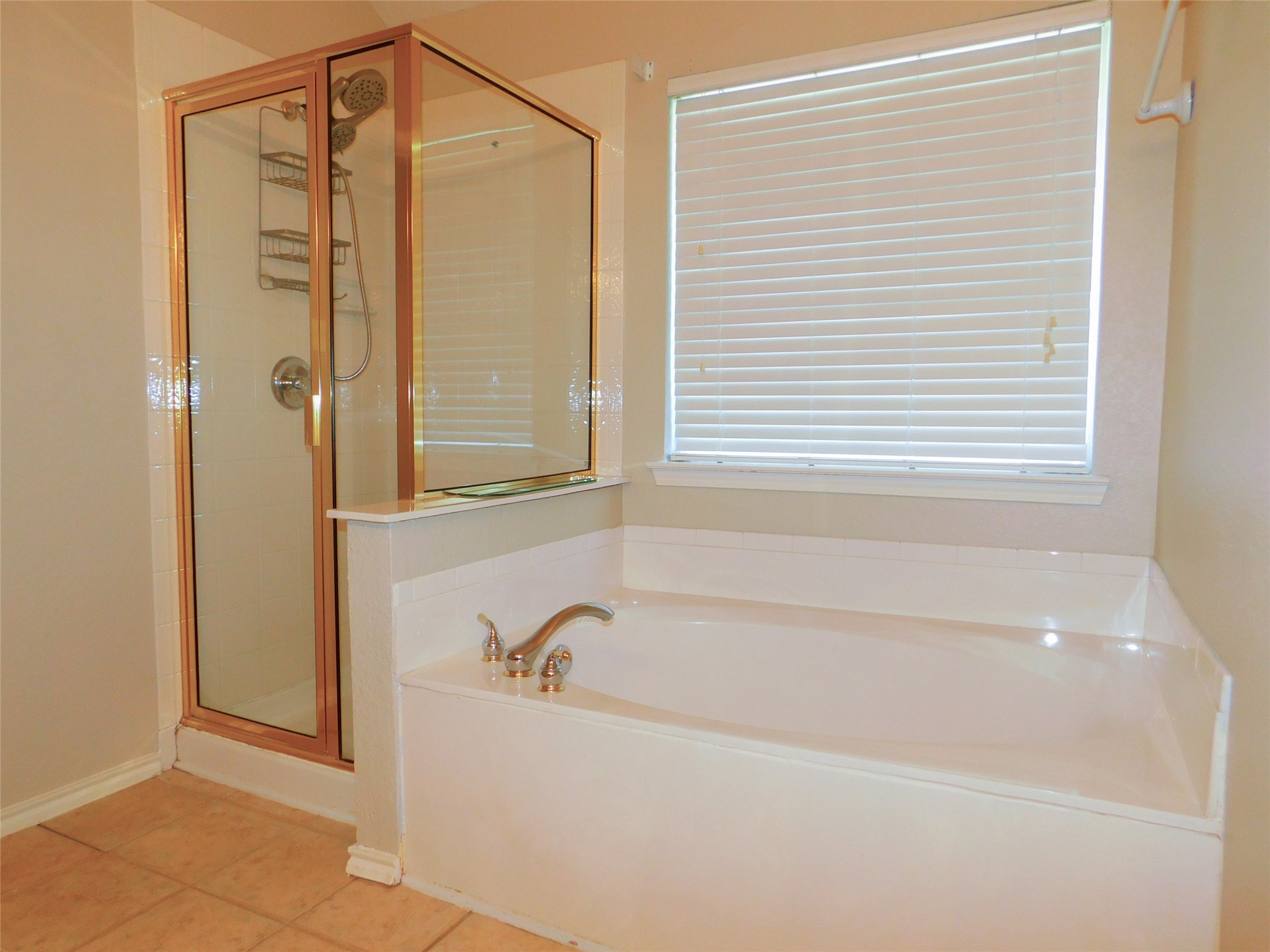 8313 Montecito Drive Denton TX 76210