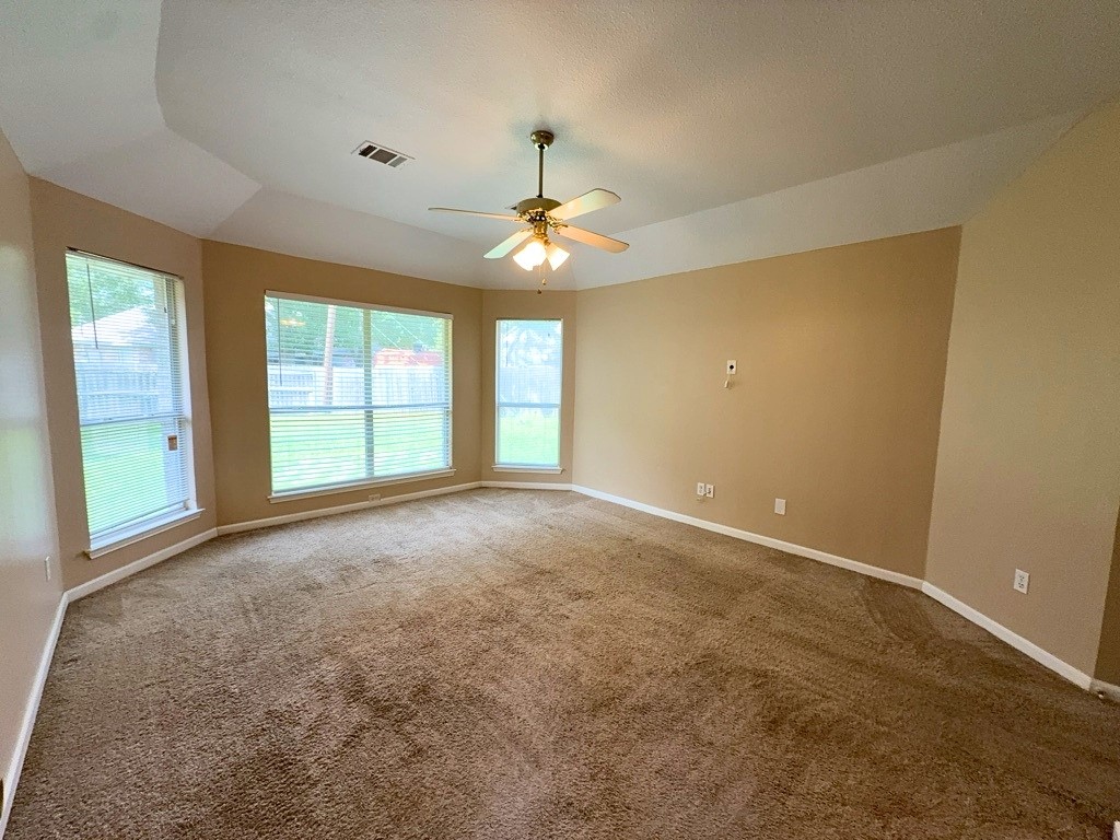 317 Oak Meadow Lane Cedar Hill TX 75104