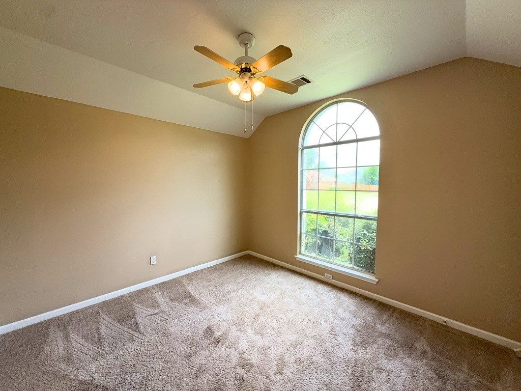 317 Oak Meadow Lane Cedar Hill TX 75104