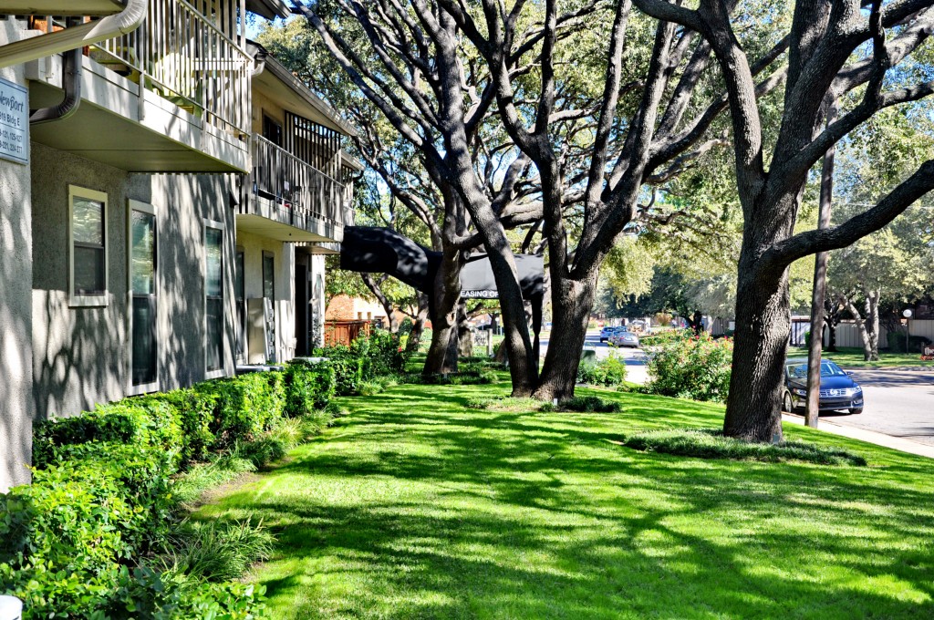 5909 Birchbrook Drive Dallas TX 75206